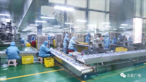 滄縣農(nóng)產(chǎn)品加工業(yè)數(shù)字化轉(zhuǎn)型研討會暨山東軟件開發(fā)合作對接會